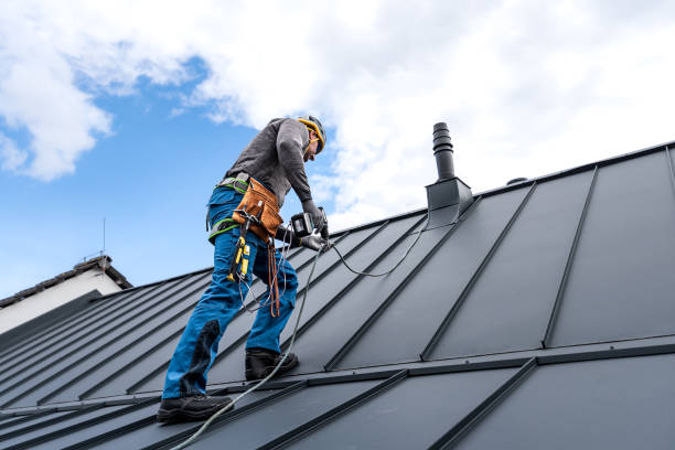 Best Storm Damage Roof Repair  in Walbridge, OH